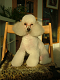 DSCF5679[1]_thumb.png